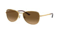 Ray-Ban 0RB3733 Sunglasses product image
