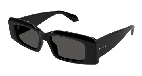AA0078S-001 sunglasses product image