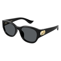 VG0039SK-001 sunglasses product image
