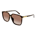 VG0025S-002 sunglasses product image