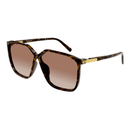 VG0025S-002 sunglasses product image
