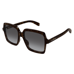 SL-174-005 sunglasses product image