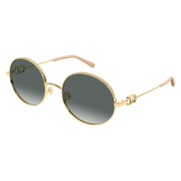 VG0027S-001 sunglasses product image