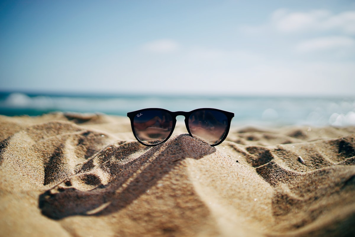 Halo round sunglasses in Espresso